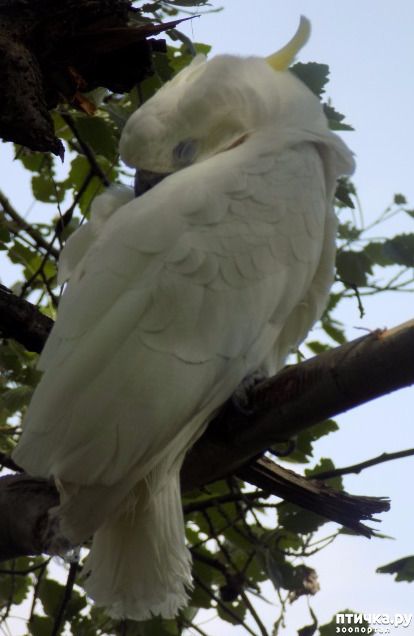 ���� 13: ����� ������ �����...