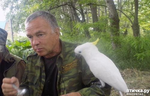 ���� 7: ����� ������ �����...