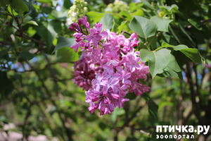 ����: �������� � �����-1