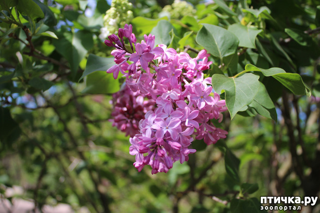 ���� 1: �������� � �����-1