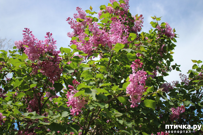 ���� 2: �������� � �����-1