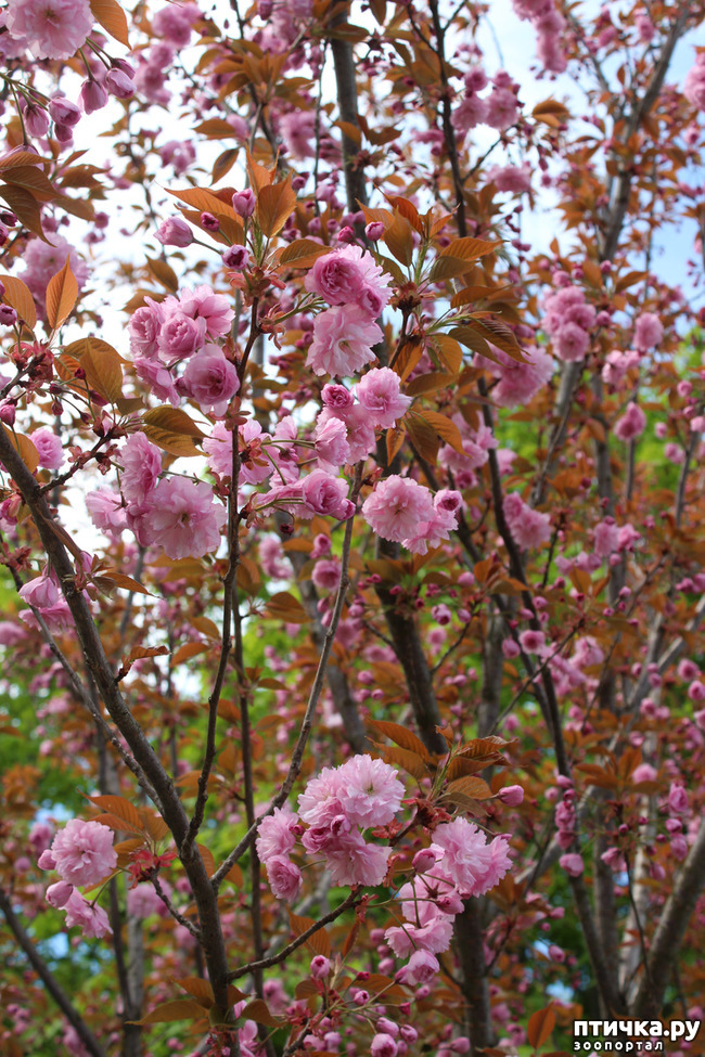 ���� 4: �������� � �����-1