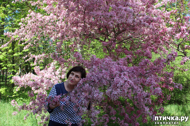 ���� 5: �������� � �����-1