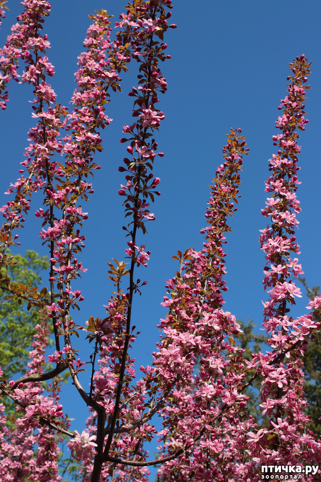 ���� 7: �������� � �����-1