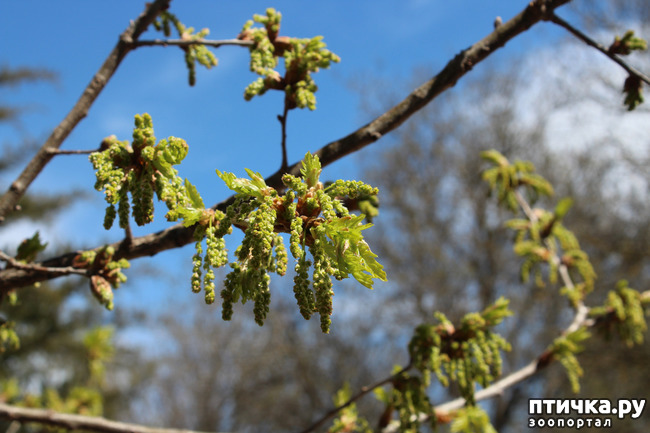 ���� 8: �������� � �����-1