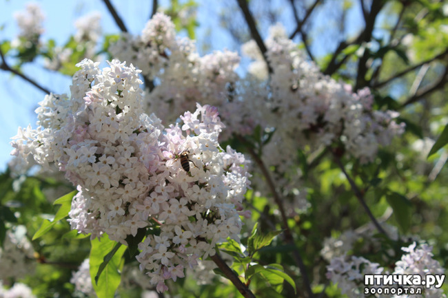 ���� 9: �������� � �����-1