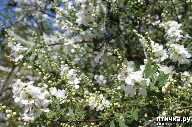 ���� 10: �������� � �����-1