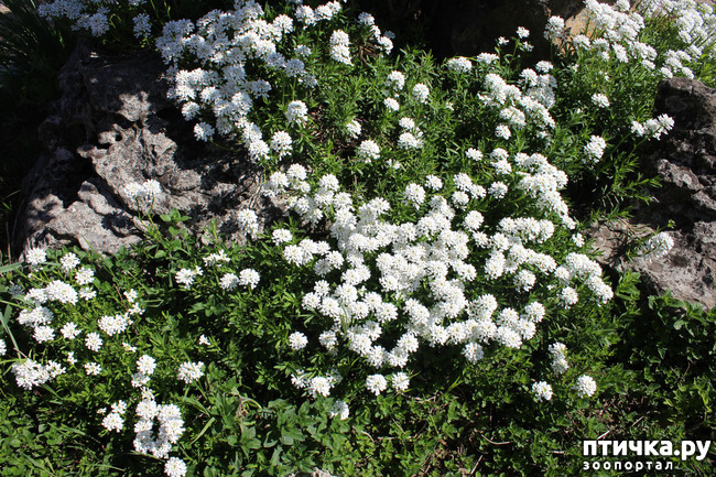 ���� 11: �������� � �����-1