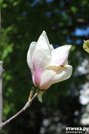 ����: �������� � �����-2