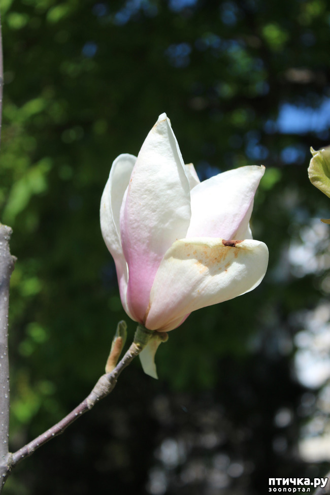 ���� 1: �������� � �����-2