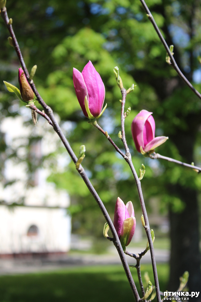 ���� 2: �������� � �����-2