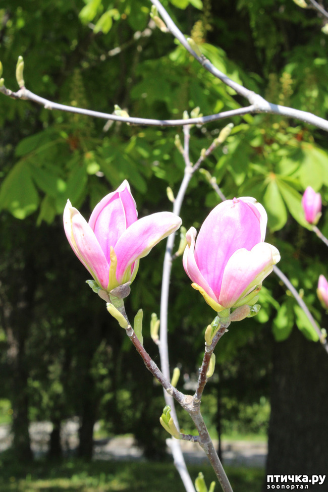 ���� 3: �������� � �����-2