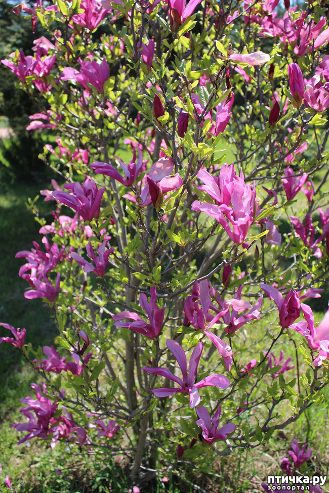 ���� 4: �������� � �����-2