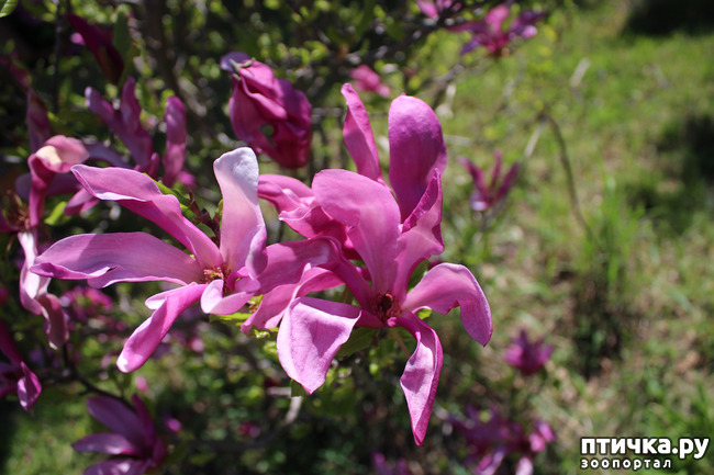 ���� 5: �������� � �����-2