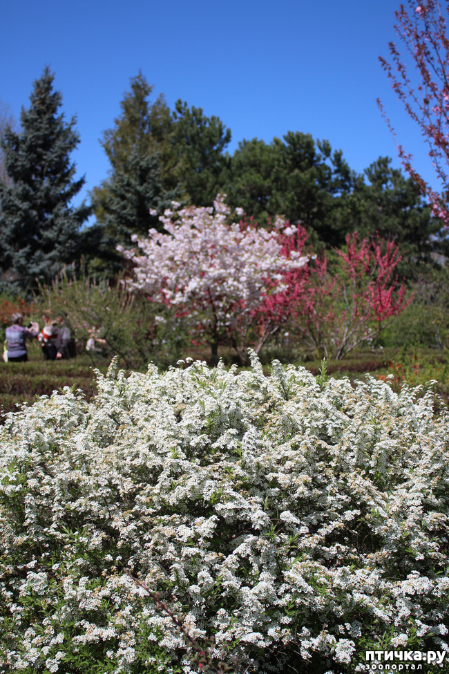 ���� 6: �������� � �����-2