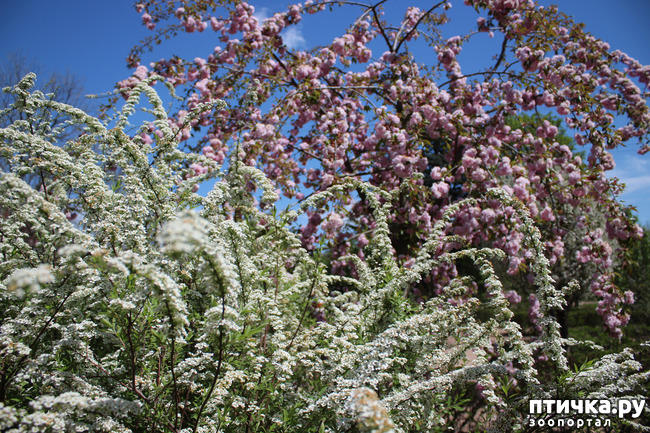 ���� 7: �������� � �����-2