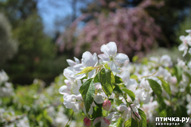 ���� 8: �������� � �����-2