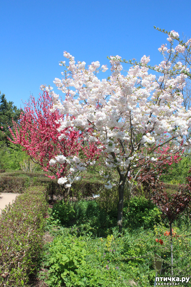 ���� 9: �������� � �����-2