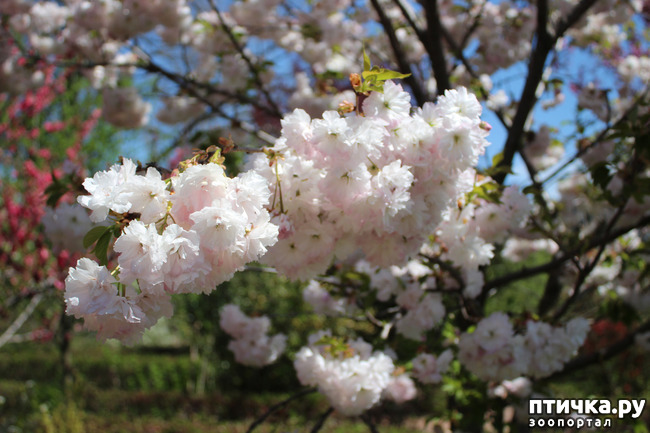 ���� 10: �������� � �����-2