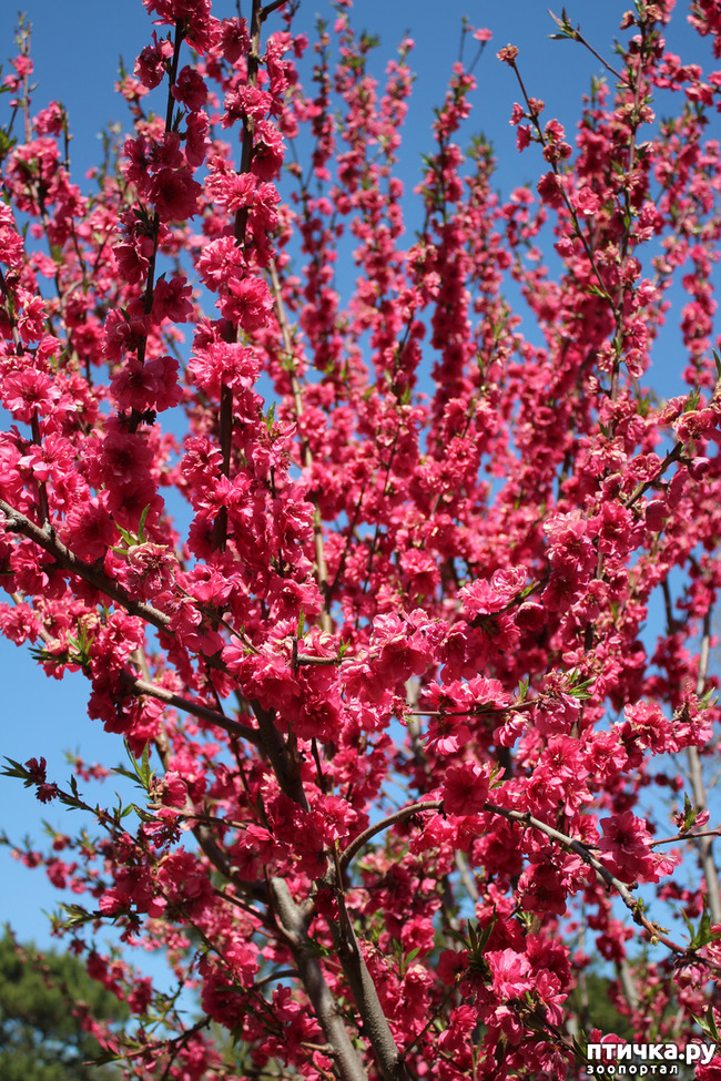 ���� 11: �������� � �����-2