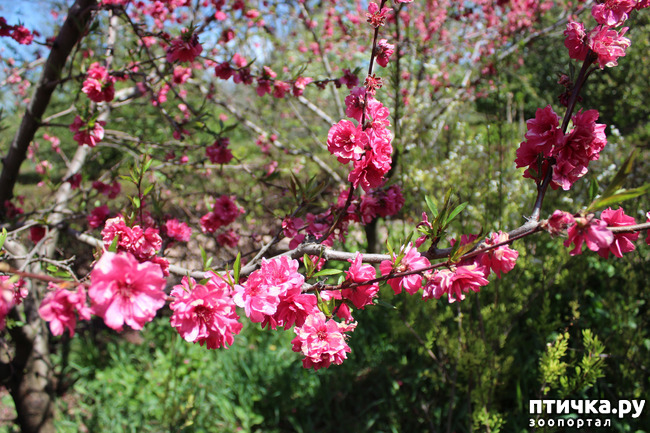 ���� 12: �������� � �����-2