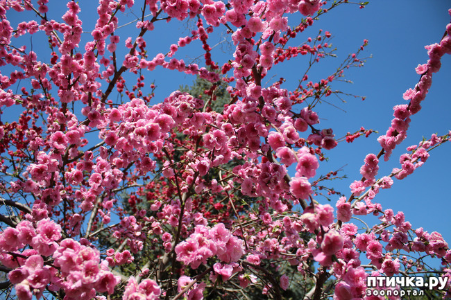 ���� 13: �������� � �����-2