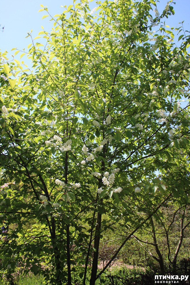 ���� 14: �������� � �����-2