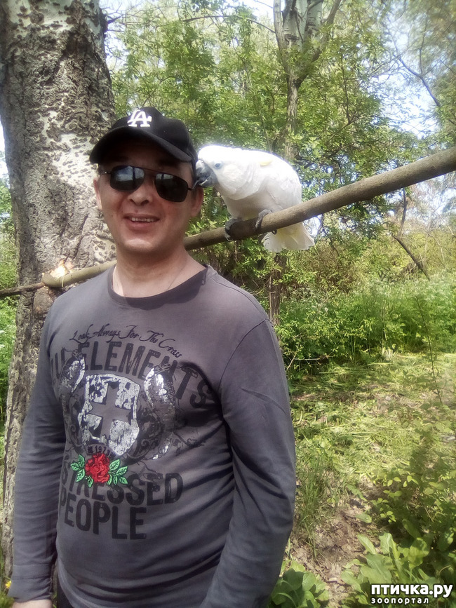 ���� 2: ����� ������ �����...