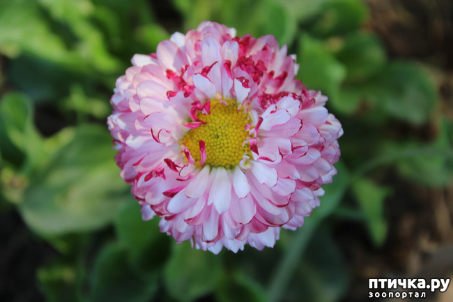 ���� 5: �������� � �����-3