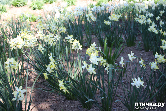 ���� 6: �������� � �����-3