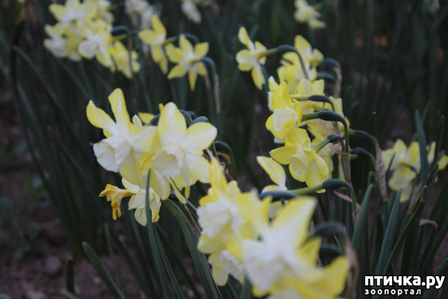 ���� 7: �������� � �����-3