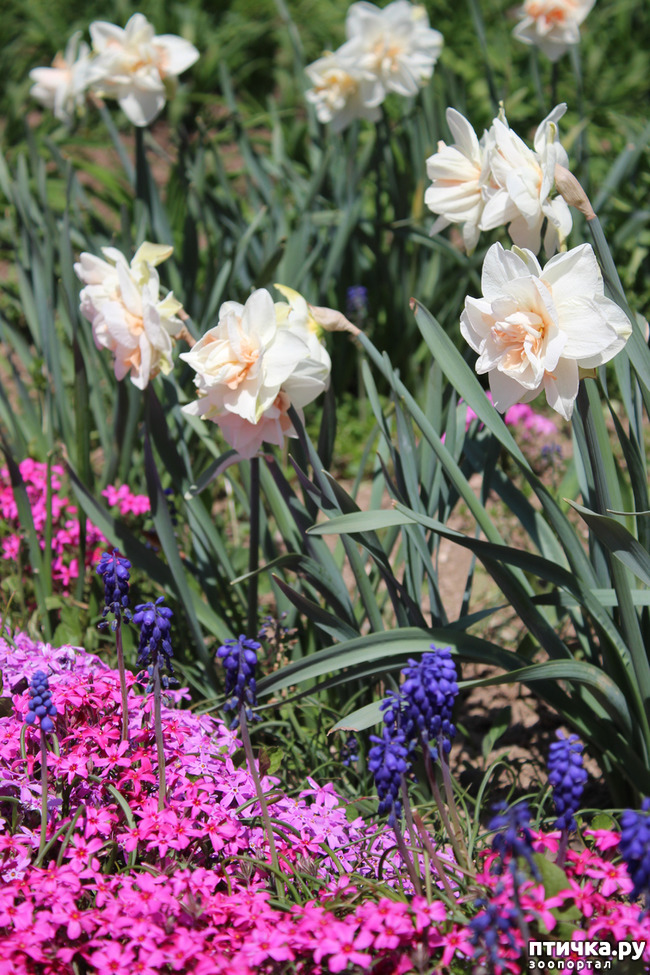 ���� 8: �������� � �����-3