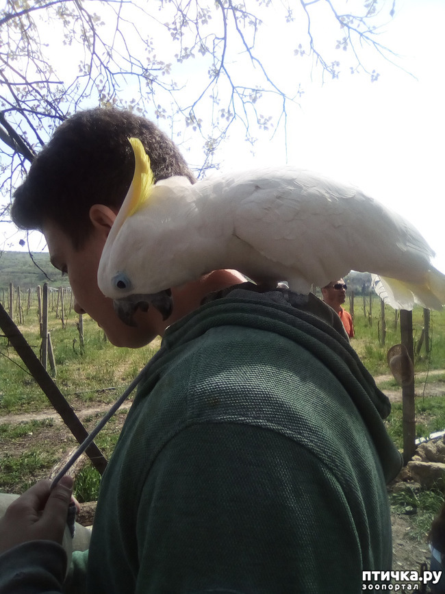 ���� 3: ����� ������ �����...