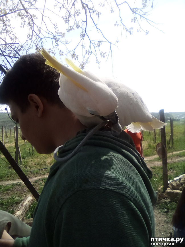 ���� 4: ����� ������ �����...