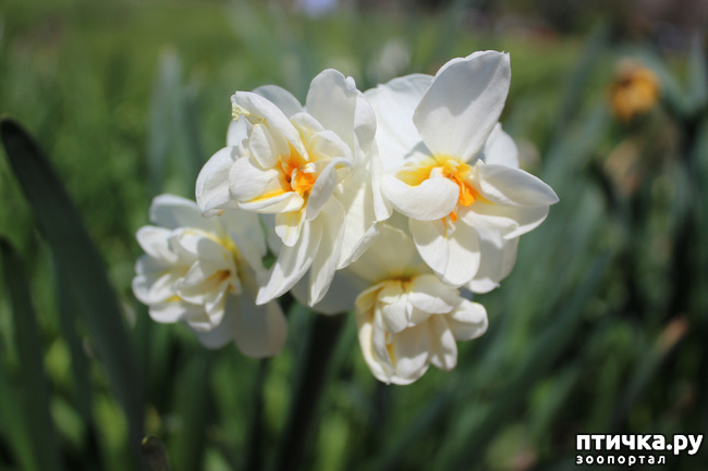 ���� 9: �������� � �����-3