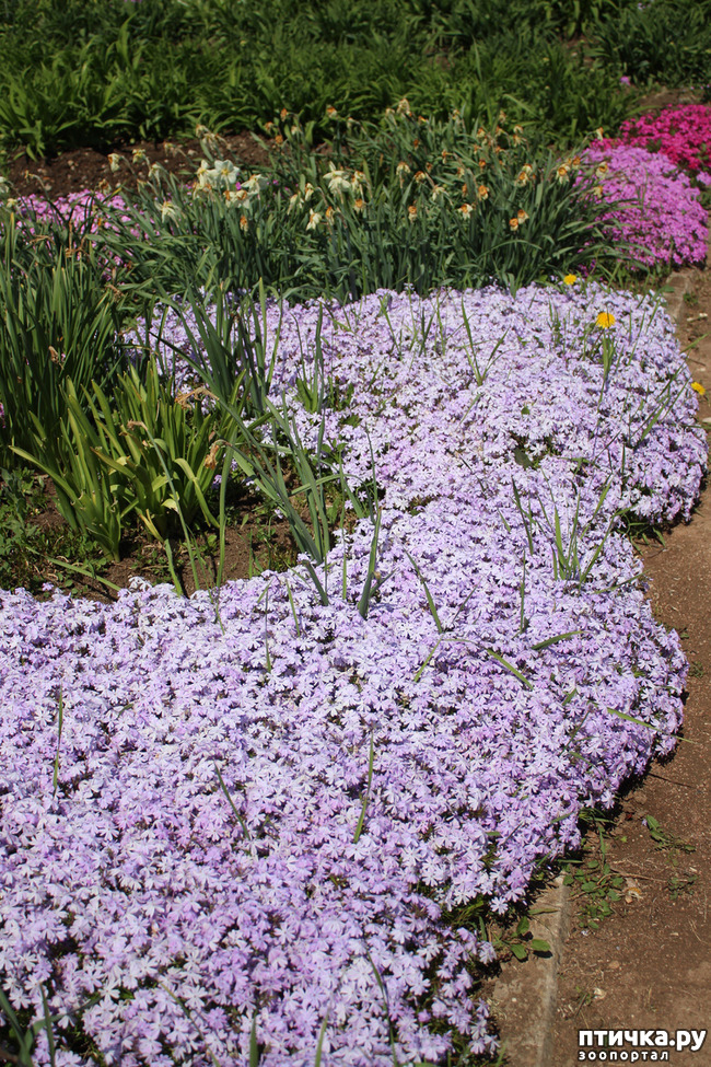 ���� 10: �������� � �����-3