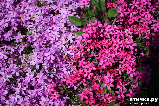 ���� 11: �������� � �����-3