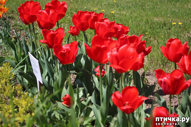 ���� 12: �������� � �����-3