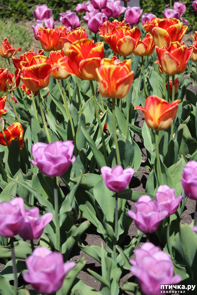 ���� 13: �������� � �����-3