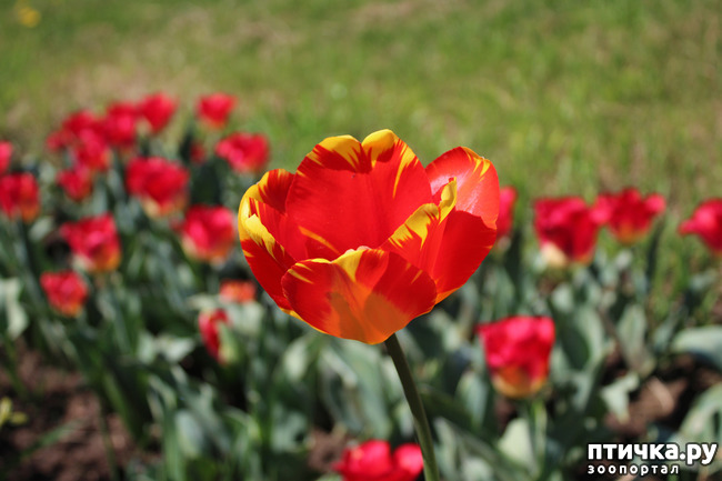 ���� 14: �������� � �����-3