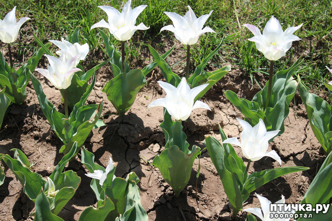 ���� 15: �������� � �����-3