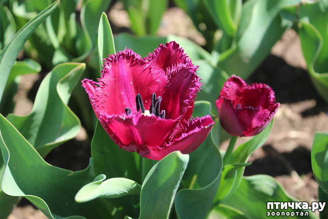 ���� 16: �������� � �����-3