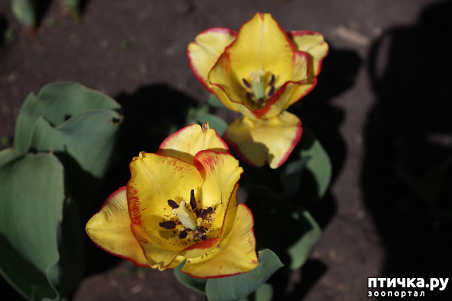 ���� 17: �������� � �����-3