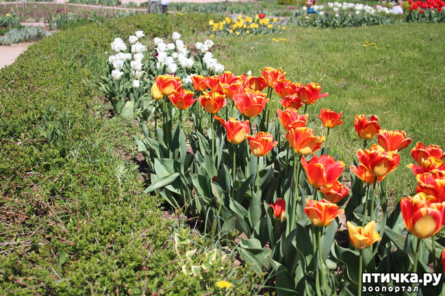 ���� 18: �������� � �����-3