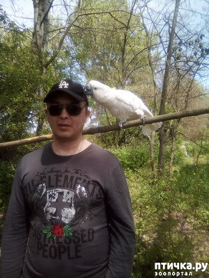 ����: ����� ������ �����...