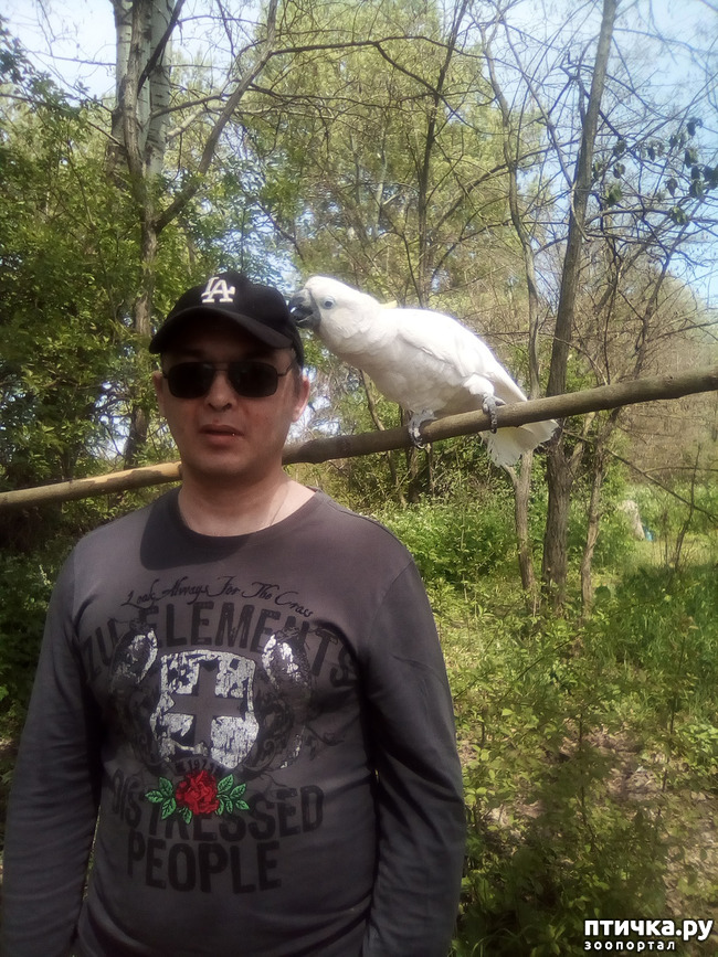 ���� 1: ����� ������ �����...