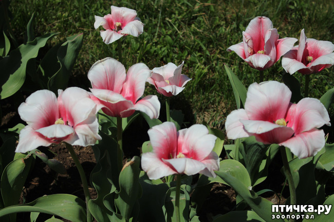 ���� 19: �������� � �����-3