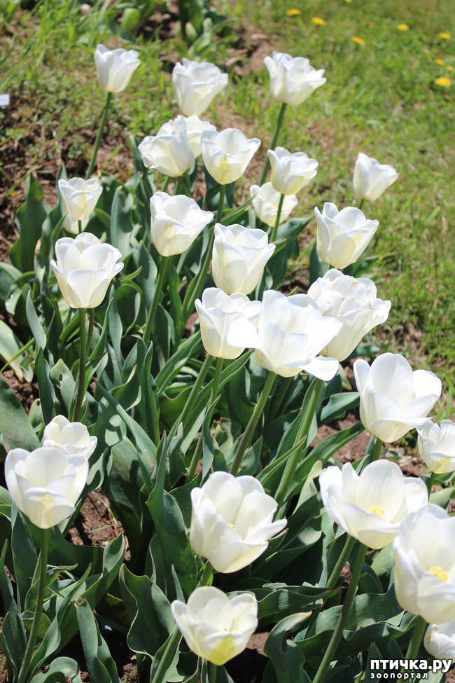 ���� 21: �������� � �����-3