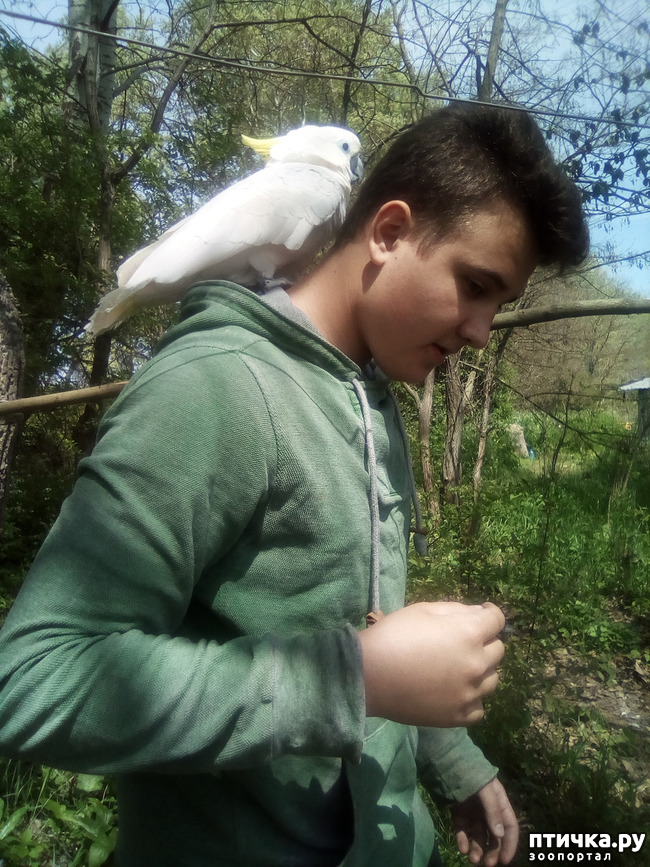 ���� 5: ����� ������ �����...