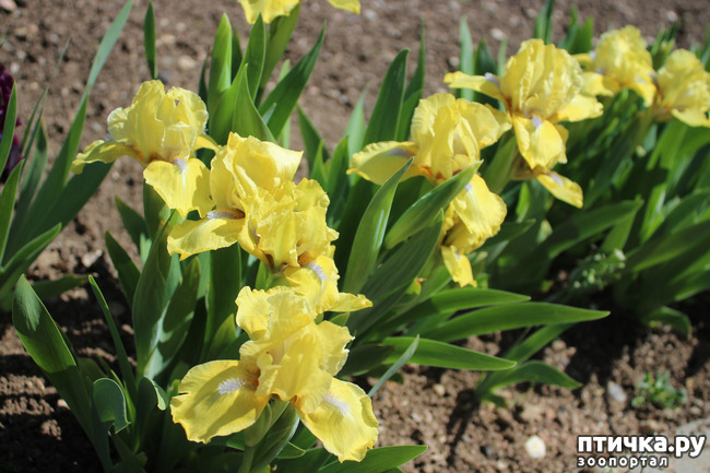 ���� 22: �������� � �����-3